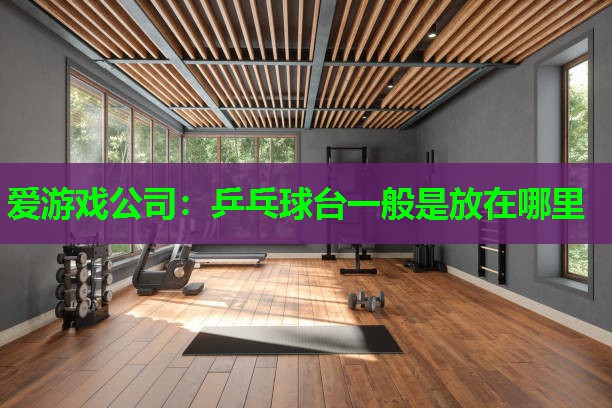 爱游戏公司：乒乓球台一般是放在哪里