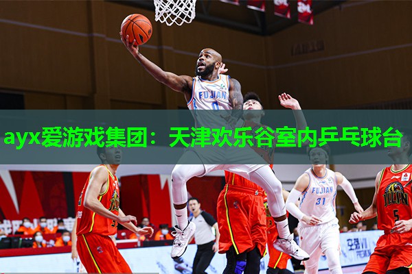 ayx爱游戏集团：天津欢乐谷室内乒乓球台