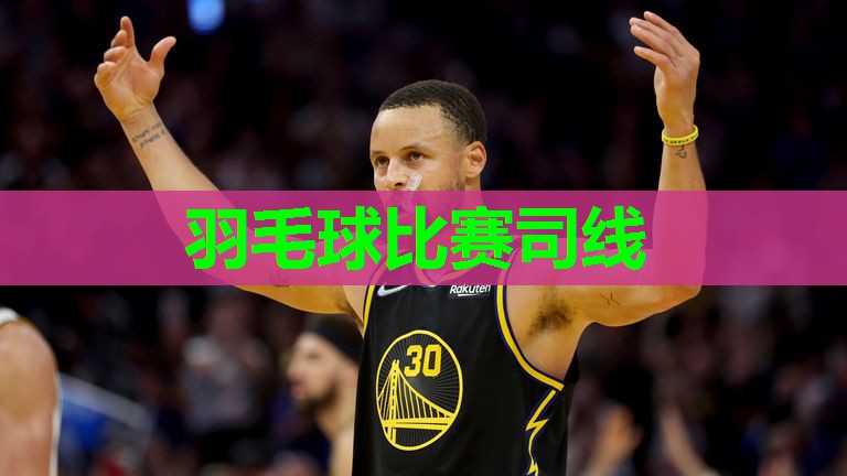 羽毛球比赛司线