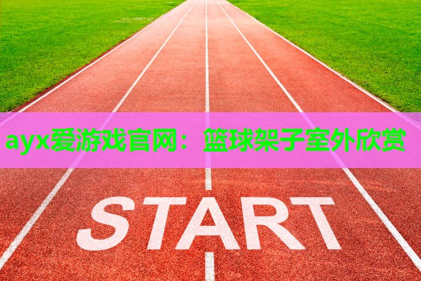 ayx爱游戏官网：篮球架子室外欣赏