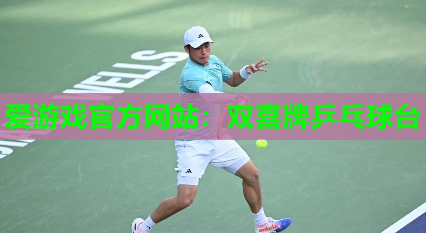 爱游戏官方网站：双喜牌乒乓球台