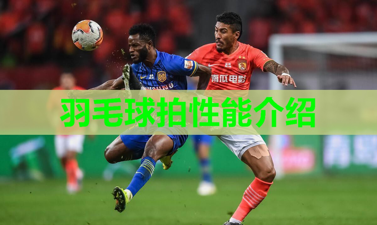 羽毛球拍性能介绍