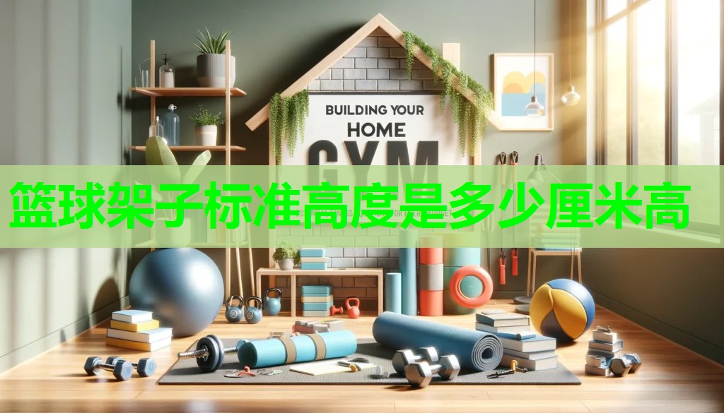 篮球架子标准高度是多少厘米高