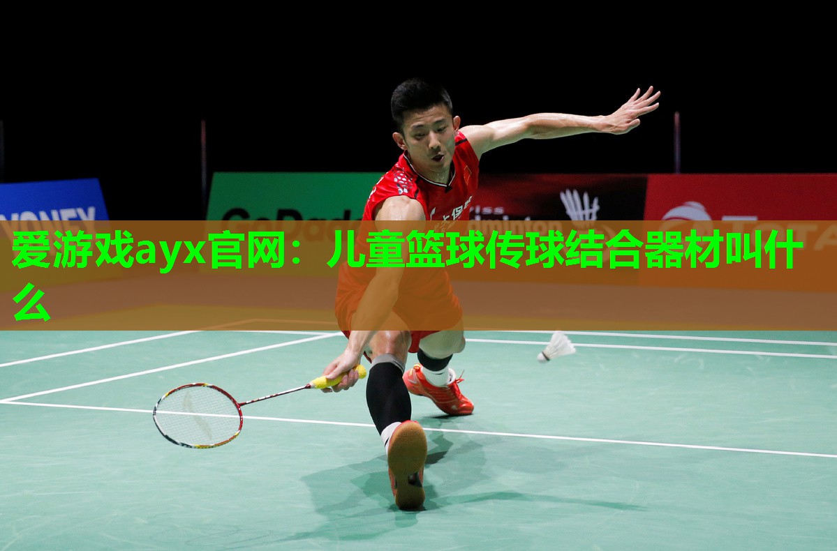 儿童篮球传球结合器材叫什么