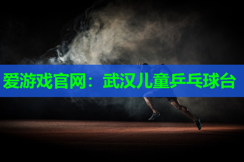 武汉儿童乒乓球台