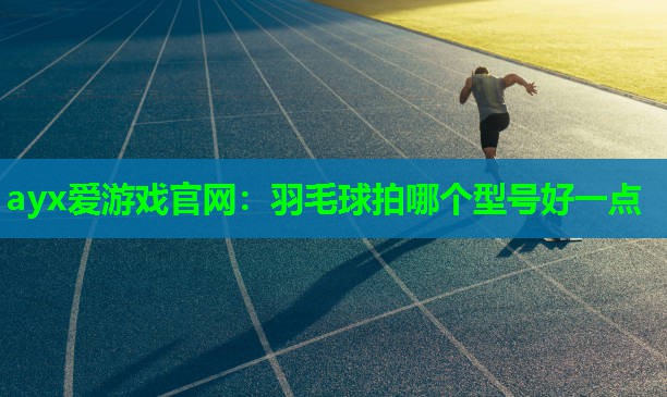 羽毛球拍哪个型号好一点