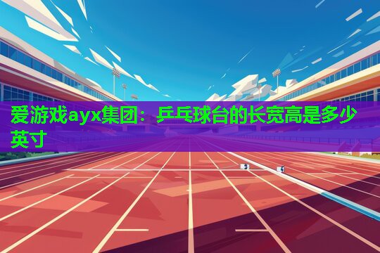 乒乓球台的长宽高是多少英寸