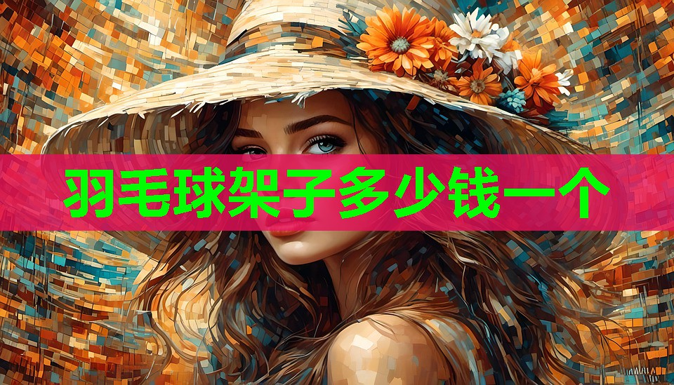 羽毛球架子多少钱一个