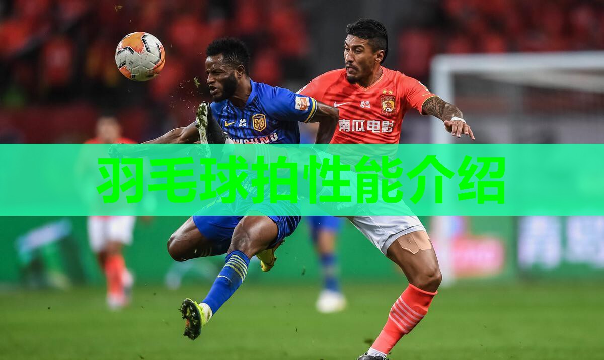 羽毛球拍性能介绍