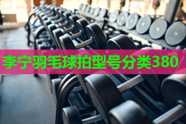 李宁羽毛球拍型号分类380