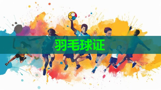 羽毛球证