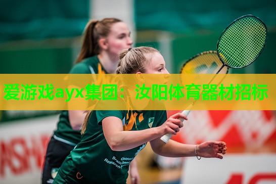 汝阳体育器材招标