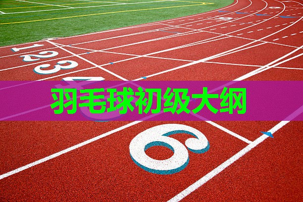 羽毛球初级大纲
