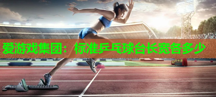 标准乒乓球台长宽各多少