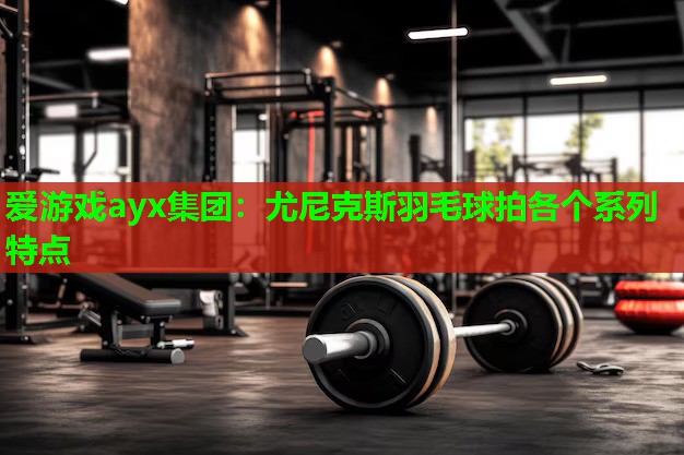 尤尼克斯羽毛球拍各个系列特点