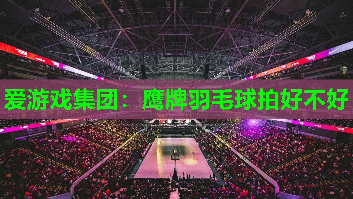 鹰牌羽毛球拍好不好