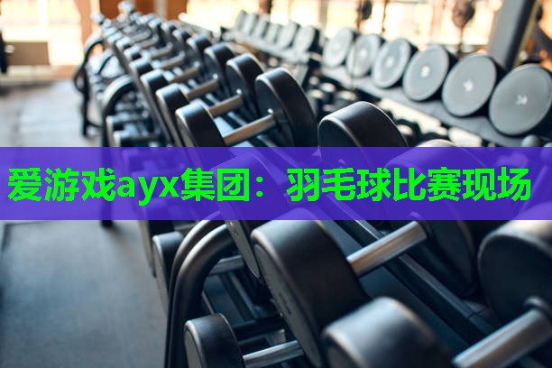羽毛球比赛现场